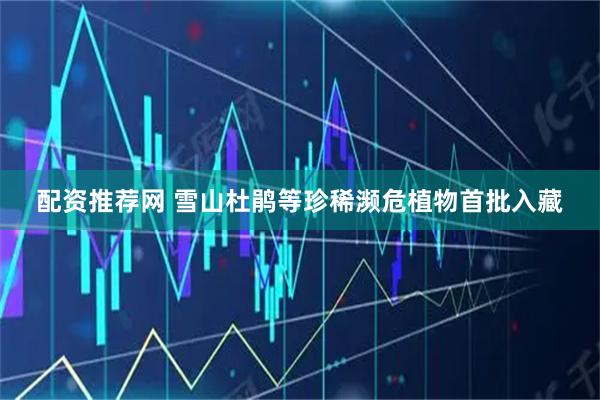 配资推荐网 雪山杜鹃等珍稀濒危植物首批入藏