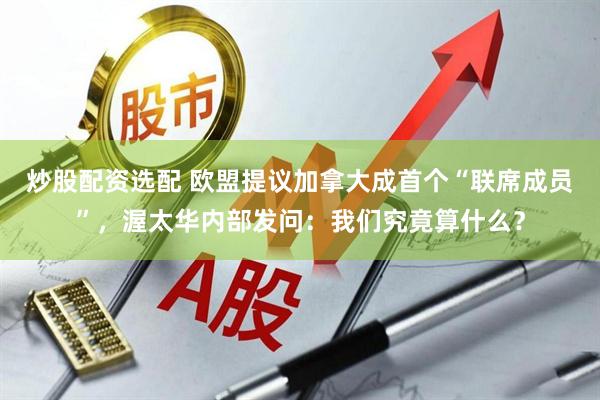 炒股配资选配 欧盟提议加拿大成首个“联席成员”，渥太华内部发问：我们究竟算什么？